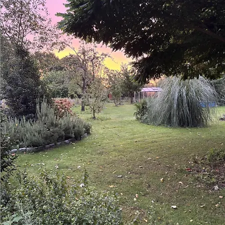 Houten Met Keuken En Tuin In Halsteren, Bergen Op Zoom Holiday home