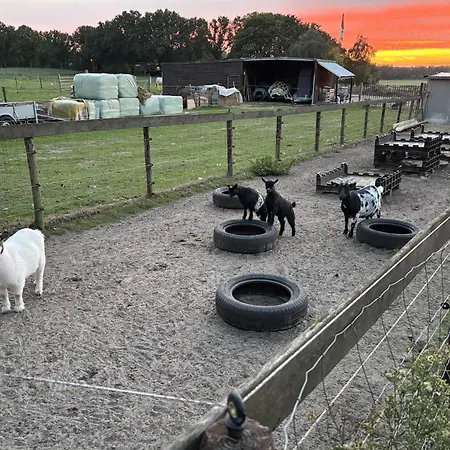 Houten Met Keuken En Tuin In Halsteren, Bergen Op Zoom Сasa de vacaciones *