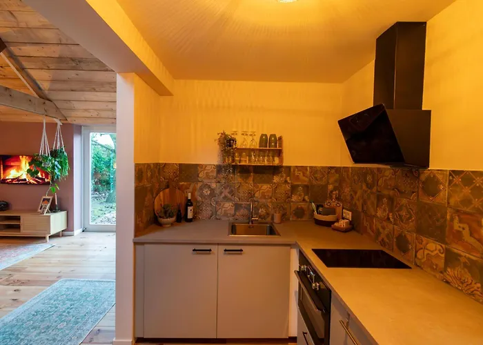 Houten Met Keuken En Tuin In Halsteren, Bergen Op Zoom Сasa de vacaciones Halsteren