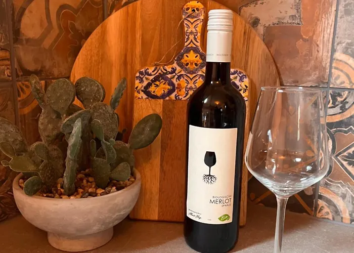 Houten Met Keuken En Tuin In Halsteren, Bergen Op Zoom Holiday home *