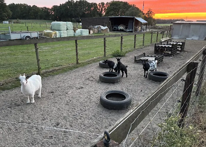 Houten Met Keuken En Tuin In Halsteren, Bergen Op Zoom Holiday home *