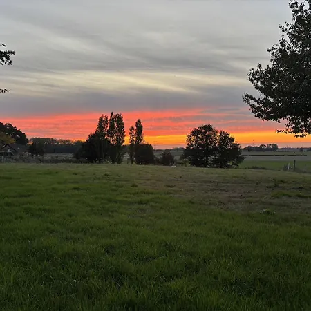 Houten Met Keuken En Tuin In Halsteren, Bergen Op Zoom Holiday home
