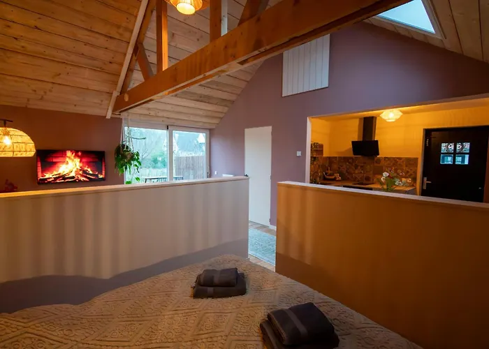 Houten Met Keuken En Tuin In Halsteren, Bergen Op Zoom