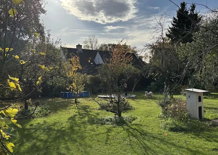 Houten Met Keuken En Tuin In Halsteren, Bergen Op Zoom Holiday home